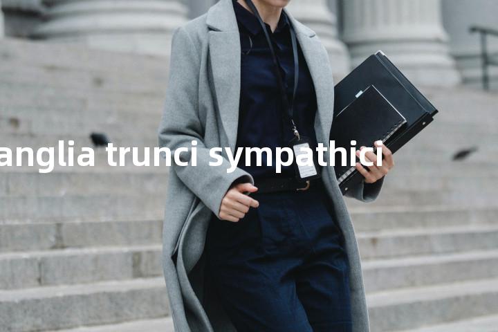 ganglia trunci sympathici单词图解，单词释义场景配图