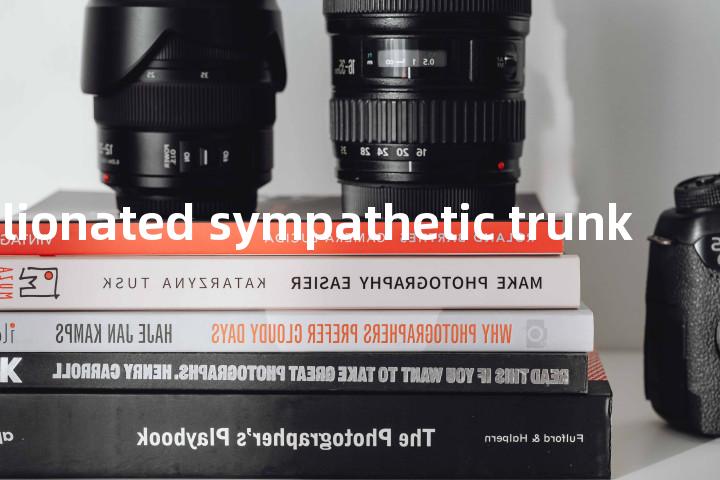 ganglionated sympathetic trunk单词图解，单词释义场景配图