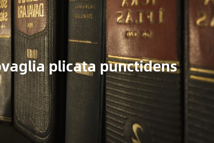 garovaglia plicata punctidens单词图解，单词释义场景配图