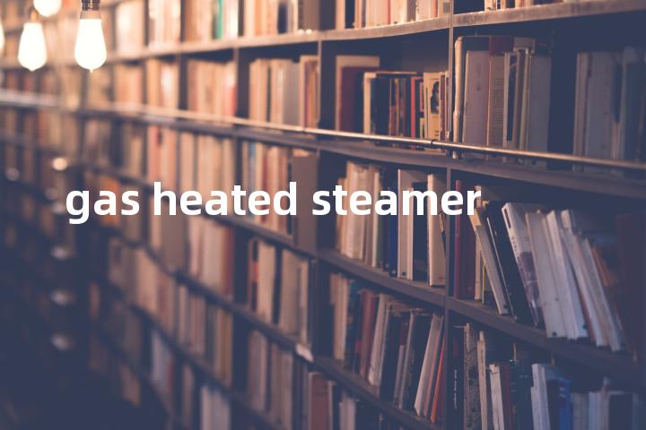 gas heated steamer单词图解，单词释义场景配图