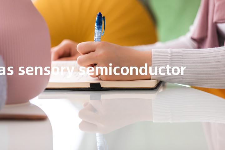 gas sensory semiconductor单词图解，单词释义场景配图