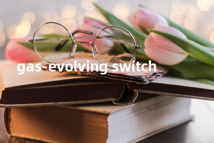 gas-evolving switch单词图解，单词释义场景配图