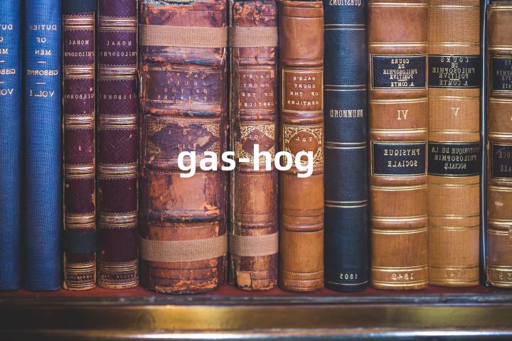 gas-hog单词图解，单词释义场景配图