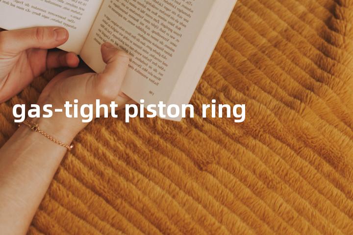 gas-tight piston ring单词图解，单词释义场景配图