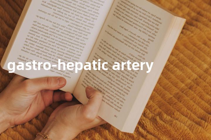 gastro-hepatic artery单词图解，单词释义场景配图