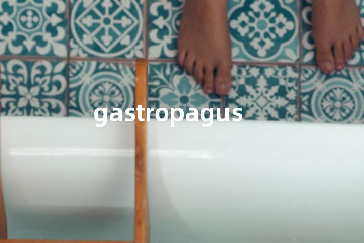 gastropagus单词图解，单词释义场景配图