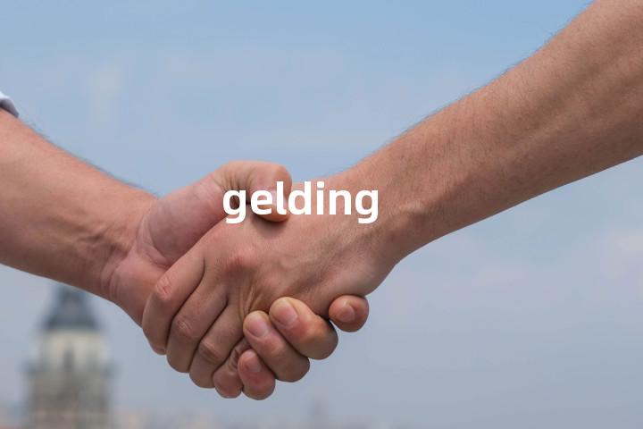 gelding