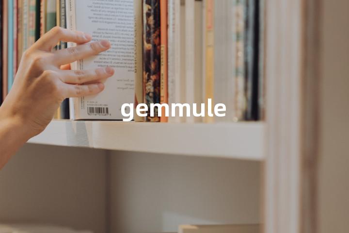 gemmule单词图解，单词释义场景配图