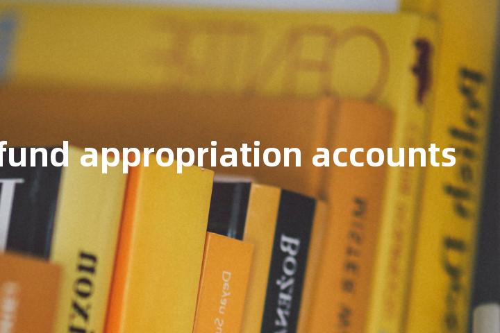 general fund appropriation accounts单词图解，单词释义场景配图