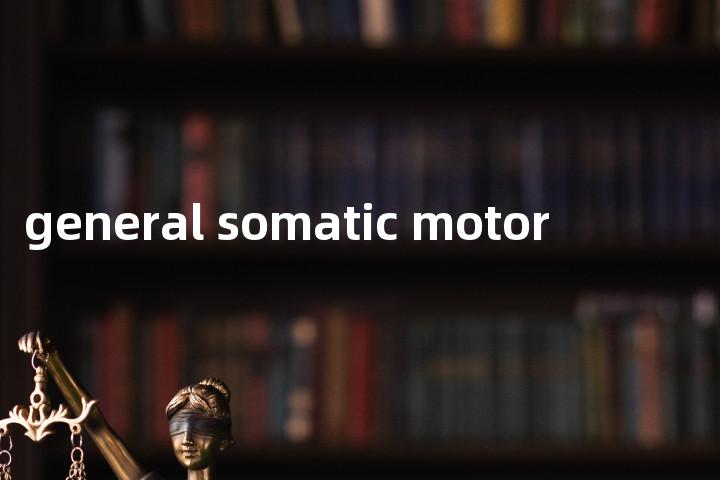 general somatic motor单词图解，单词释义场景配图