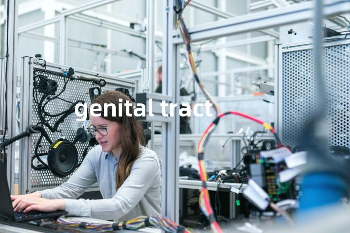 genital tract单词图解，单词释义场景配图