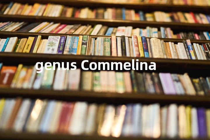genus Commelina单词图解，单词释义场景配图