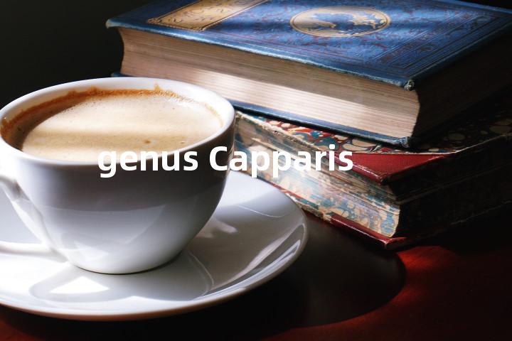 genus Capparis单词图解，单词释义场景配图
