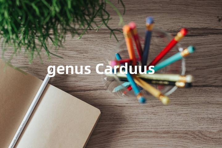 genus Carduus单词图解，单词释义场景配图