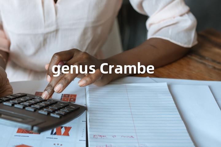 genus Crambe单词图解，单词释义场景配图