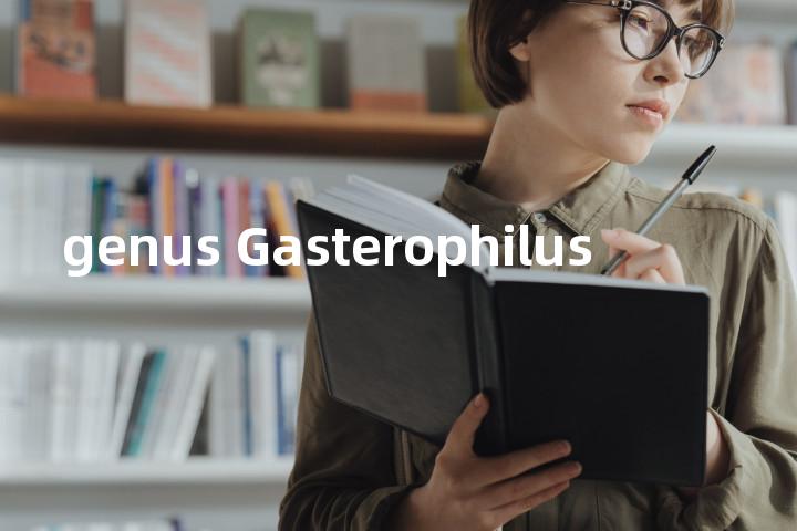 genus Gasterophilus单词图解，单词释义场景配图
