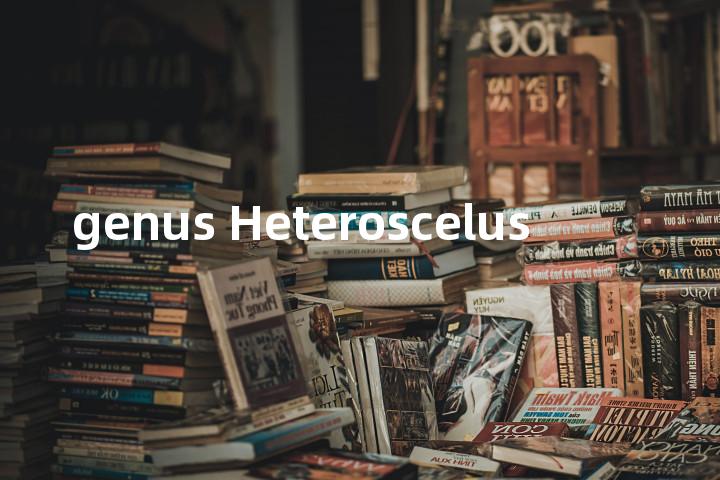 genus Heteroscelus单词图解，单词释义场景配图