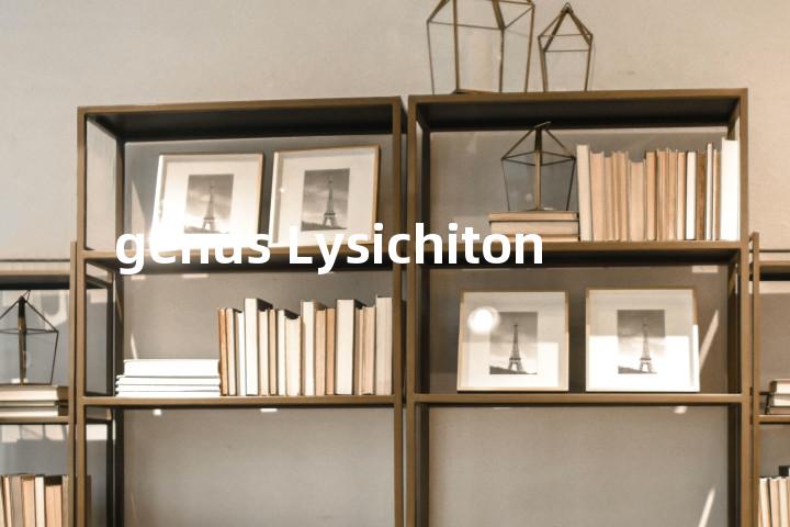 genus Lysichiton单词图解，单词释义场景配图