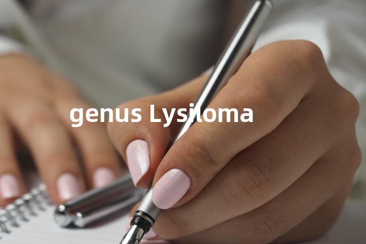 genus Lysiloma单词图解，单词释义场景配图