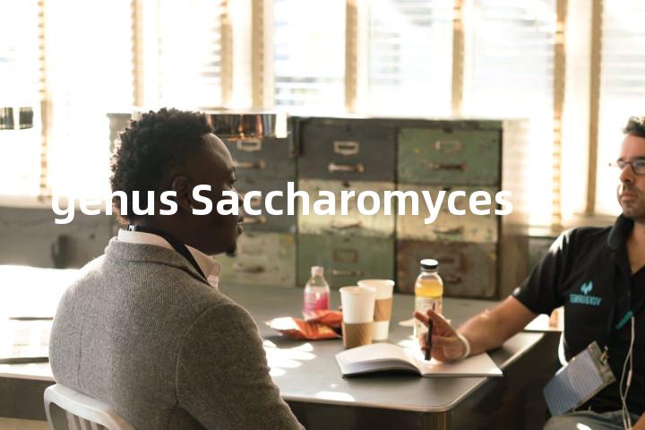 genus Saccharomyces单词图解，单词释义场景配图