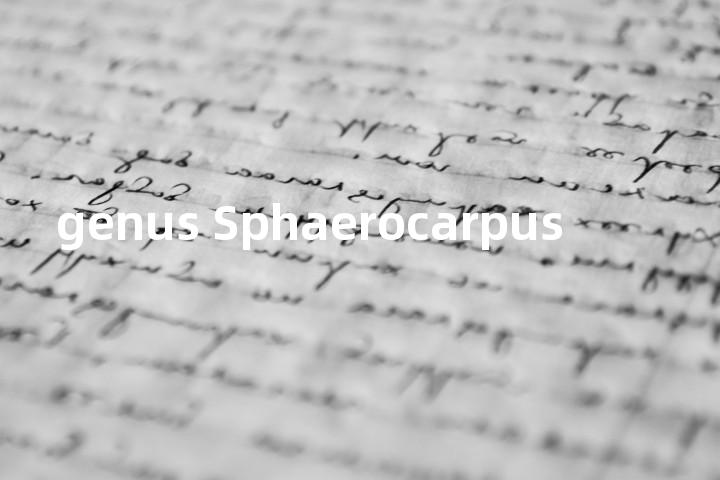 genus Sphaerocarpus单词图解，单词释义场景配图