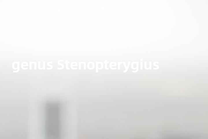 genus Stenopterygius单词图解，单词释义场景配图