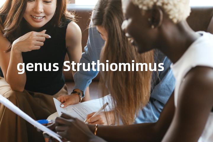 genus Struthiomimus单词图解，单词释义场景配图