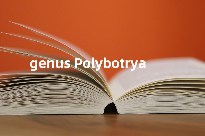 genus Polybotrya单词图解，单词释义场景配图