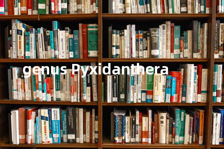 genus Pyxidanthera单词图解，单词释义场景配图
