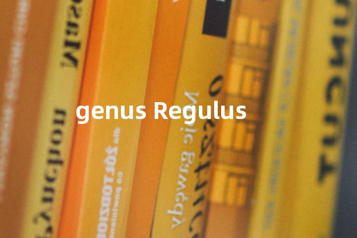 genus Regulus单词图解，单词释义场景配图