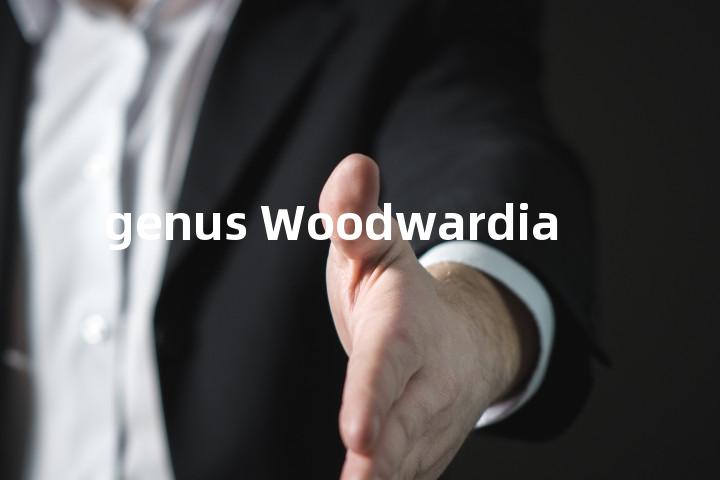 genus Woodwardia单词图解，单词释义场景配图