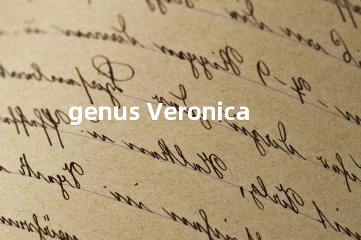 genus Veronica单词图解，单词释义场景配图