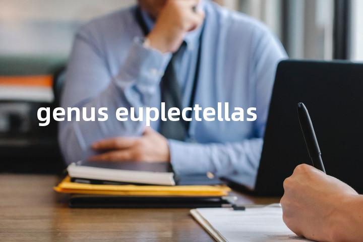 genus euplectellas单词图解，单词释义场景配图
