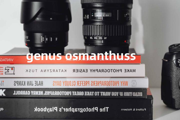 genus osmanthuss单词图解，单词释义场景配图