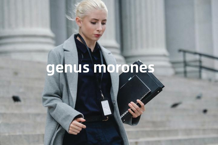 genus morones单词图解，单词释义场景配图