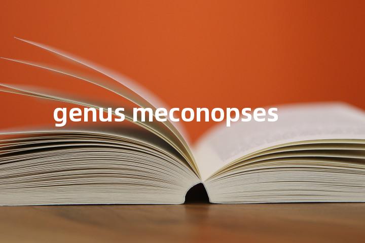 genus meconopses单词图解，单词释义场景配图