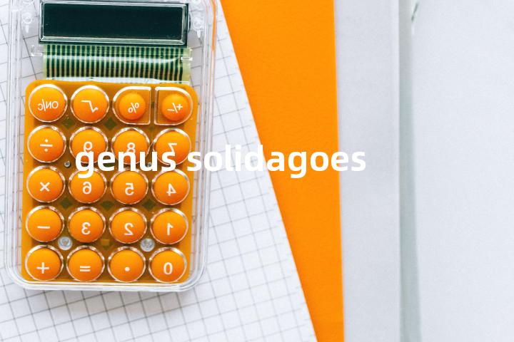 genus solidagoes单词图解，单词释义场景配图