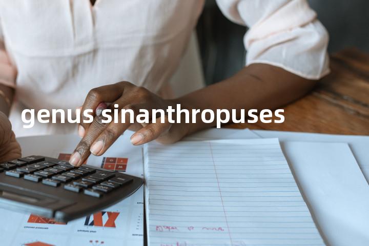 genus sinanthropuses单词图解，单词释义场景配图