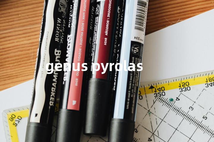 genus pyrolas单词图解，单词释义场景配图
