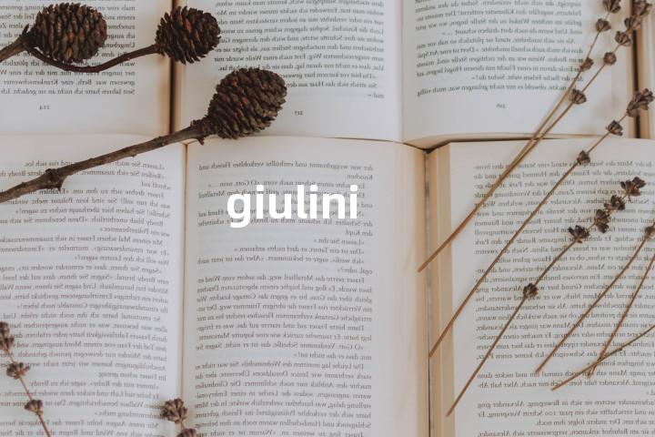 giulini单词图解，单词释义场景配图