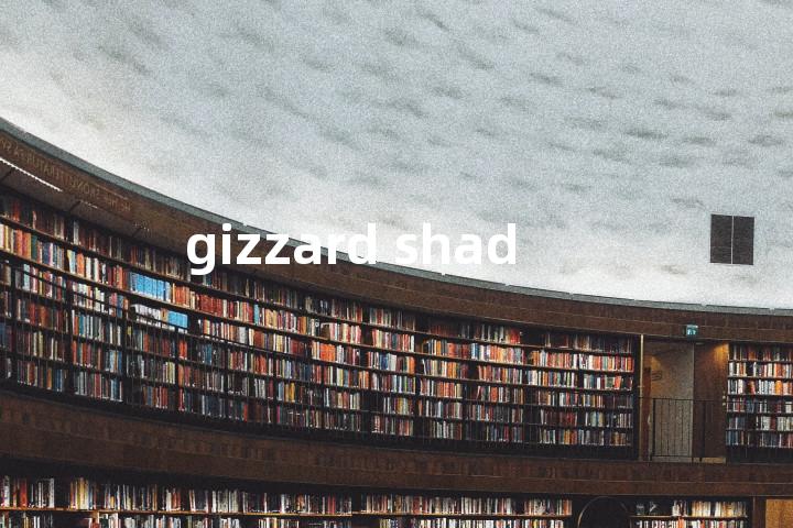 gizzard shad单词图解，单词释义场景配图