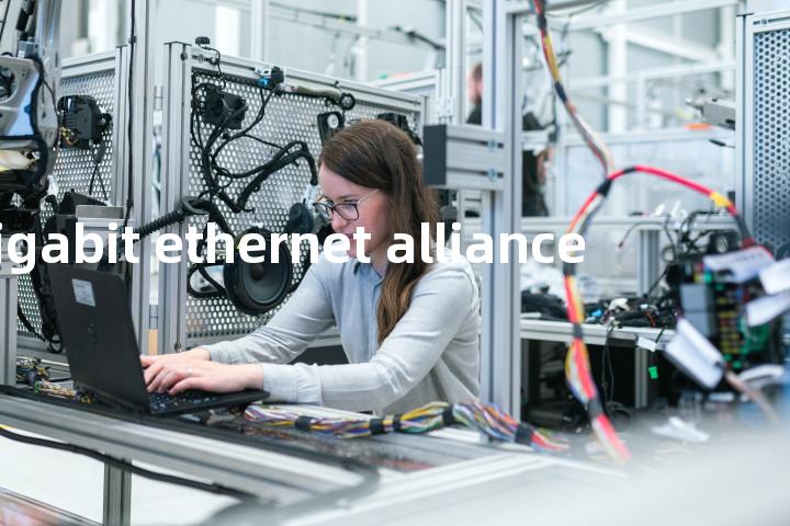 gigabit ethernet alliance单词图解，单词释义场景配图
