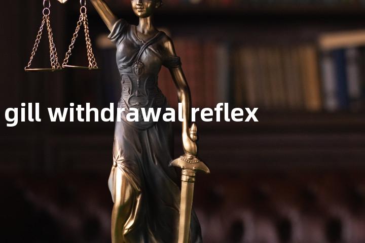 gill withdrawal reflex单词图解，单词释义场景配图