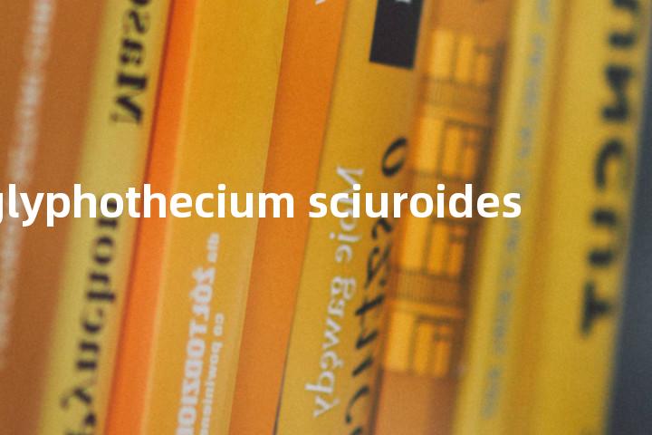 glyphothecium sciuroides单词图解，单词释义场景配图