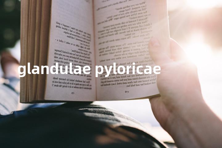 glandulae pyloricae单词图解，单词释义场景配图