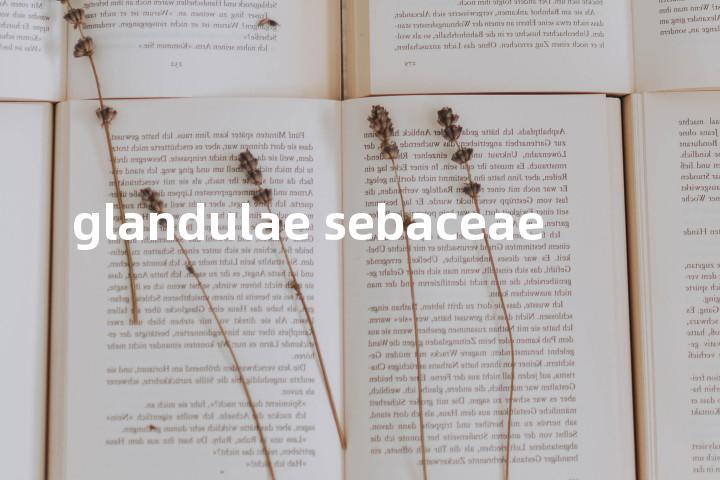 glandulae sebaceae单词图解，单词释义场景配图