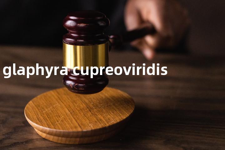 glaphyra cupreoviridis单词图解，单词释义场景配图