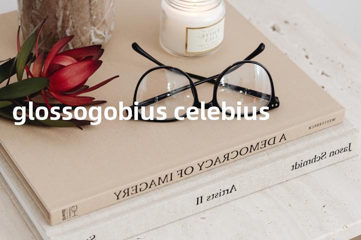 glossogobius celebius单词图解，单词释义场景配图