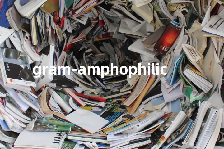 gram-amphophilic单词图解，单词释义场景配图