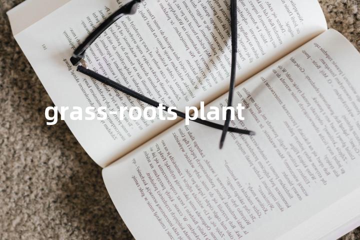 grass-roots plant单词图解，单词释义场景配图